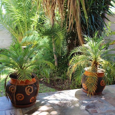 Van Biljon Cottage No Loadshedding Oudtshoorn Ngoại thất bức ảnh